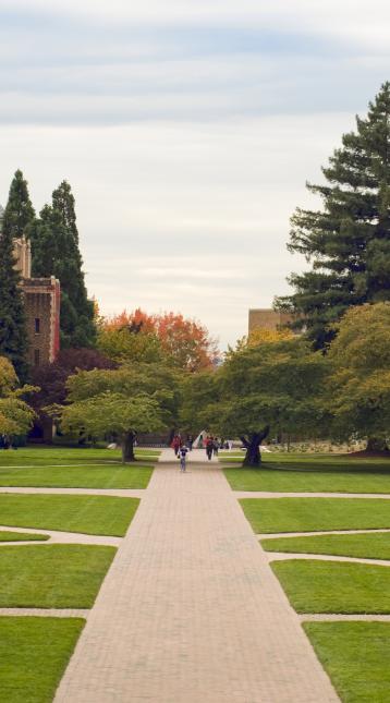 landscape of college campus
