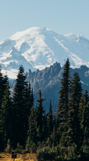 "From above empty road through the mountains of the Mount Rainier national park, Washington. Scenery aerial view of Mount Rainier on sunny day  "