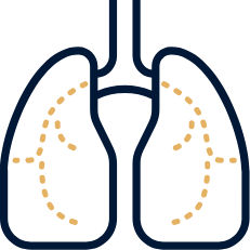 lungs icon