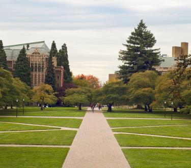 landscape of college campus